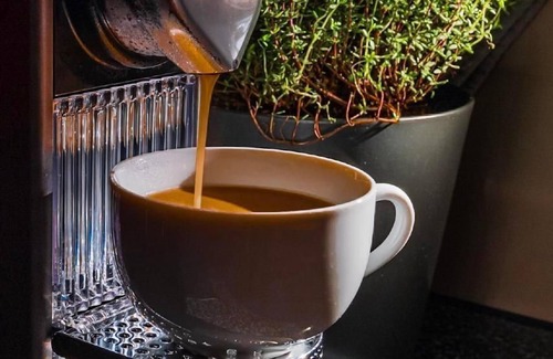 Murren Apartment | Chalet Raufthubel, 1st floor