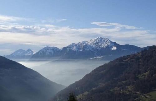 Cohennoz Ski Chalet | Chalet spacieux 10 pers. avec jardin, cheminée, cuisine équipée à Cohennoz, proche nature - FR-1-733-29
