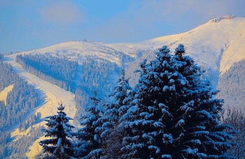 Zell am See Ski Chalet | Chalet Stabler - Canadian-style blockhouse with fantastic mountain views
