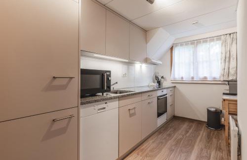 Arosa Apartment | Chalet Sunna Höckli - Pistennah und Ruhig mit Panoramablick