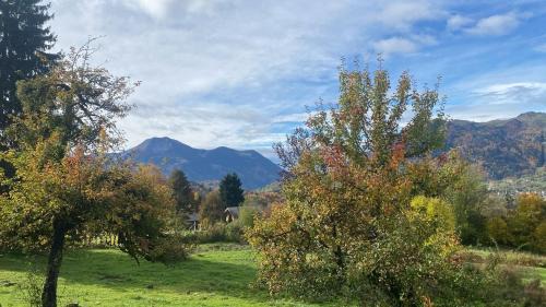 Onnion House | Chalet Tiny & Campagne