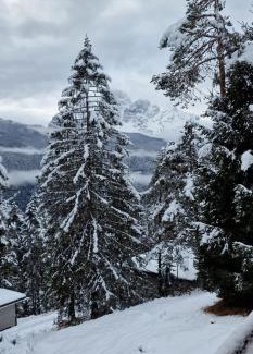 Borca di Cadore Villa | Chalet Yvonne