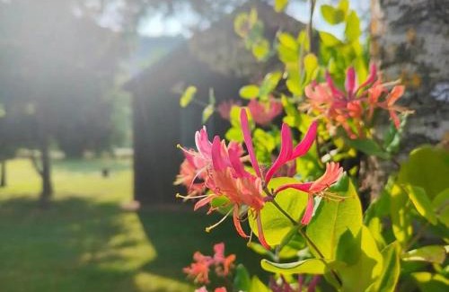 Bourgs-sur-Colagne Resort | Chalets de la Colagne