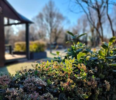 Bourgs-sur-Colagne Resort | Chalets de la Colagne