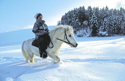 Eben im Pongau House | Chalets Ebner, Eben im Pongau