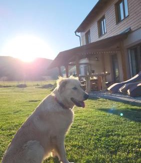 Cervena Voda Apartment | Chalupa 66 - Bukovka