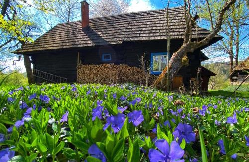 Terchova Ski Chalet | Chalupa na Samote