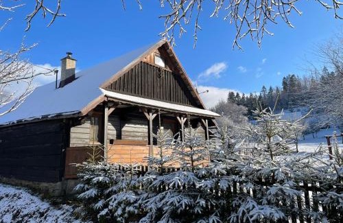 Oscadnica House | Chalupa pod lipou