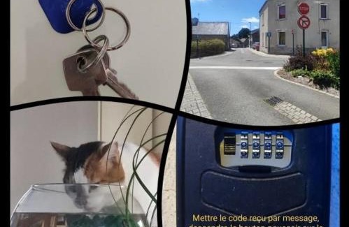 Derval House | Chambre chez l'habitante "Cactus"