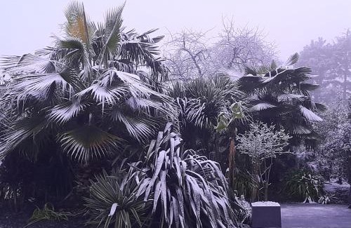 Bruc-sur-Aff Bed & Breakfast | Chambre d'hôtes Les Bruyères