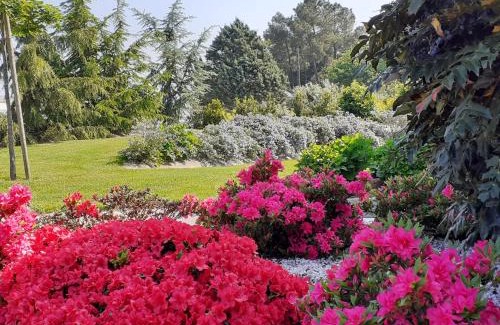 Bruc-sur-Aff Bed & Breakfast | Chambre d'hôtes Les Bruyères