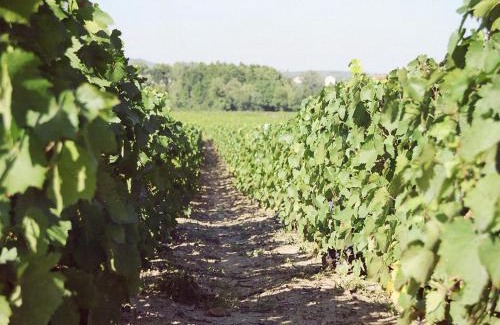 Fleurie Bed & Breakfast | Chambres d hôtes au Domaine de Robert