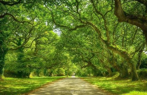 Breles Bed & Breakfast | Chambres d'hotes Chez Annie