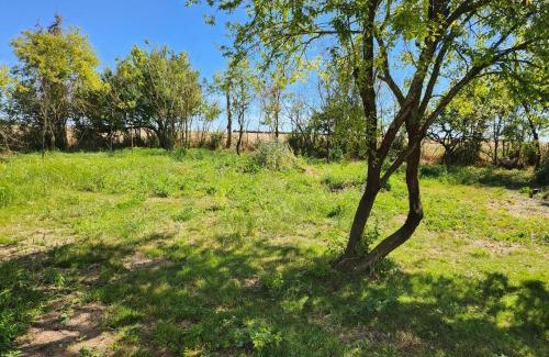 Saint-Jean-de-Sauves House | Chambres, Table d'Hôtes et Gites Les Mesanges