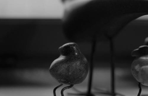 Brassy House | Champ de la Fontaine