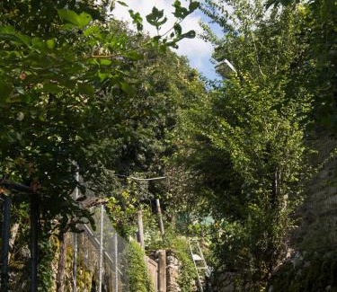 Mikro Papigko Ski Chalet | Chariklia Traditional House