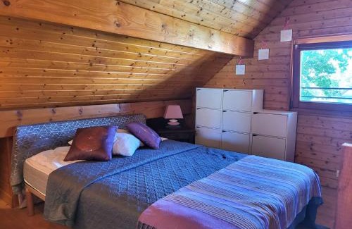 Amfreville Ski Chalet | Charmant chalet avec jardin clos, idéal pour se ressourcer et profiter d'un environnement paisible - FR-1-788-15