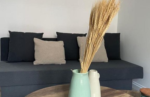 Lezennes Apartment | Charmant T2 à Lezennes