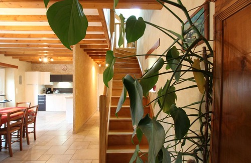 Saint-Sauveur-le-Vicomte Cottage | Charming house with garden and pets allowed