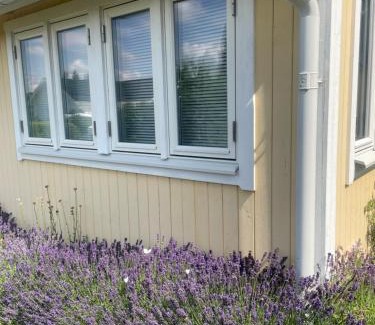 Tibro Villa | Charmig Villa bredvid sjön Örlen