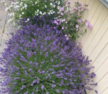 Tibro Villa | Charmig Villa bredvid sjön Örlen