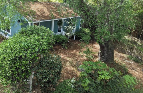 West Ashley Cottage | Charming 1-bedroom cottage in amazing Charleston