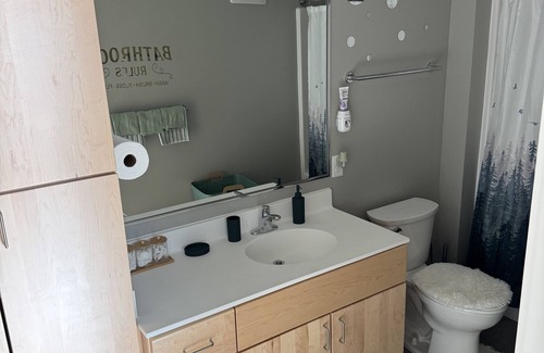 Minneapolis Apartment | Charming 1-bedroom apartment with WiFi, AC in amazing Minneapolis 5 mins to DWTN