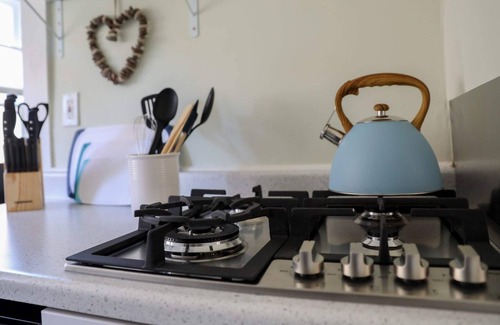 Piedmont Avenue Apartment | Charming 1BR Apt Near Piedmont Ave in Oakland