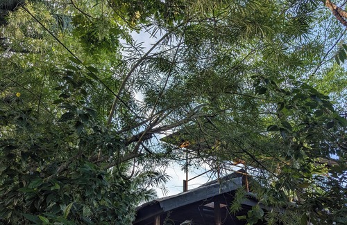 Dumaguete House | Charming 2-bedroom beach house with AC, WiFi in delightful Bacong