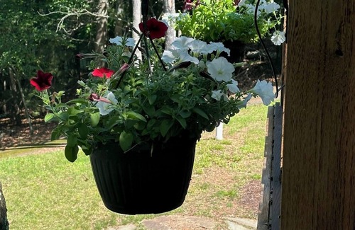 Eagle River Cabin | Charming 3-bedroom cabin with WiFi, AC in lovely Eagle River sleeps 8 people.