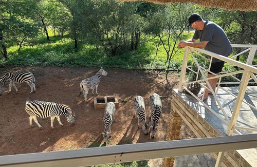 Marloth Park House | Charming 3-bedroom house with AC /WiFi and Jacuzzi in delightful Marloth Park