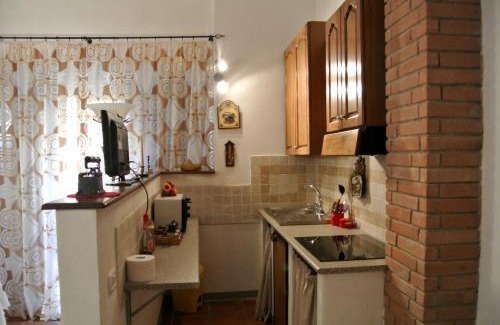 Monticello Amiata Apartment | Charming Apartment in Monticello Amiata Garden View 45 m²