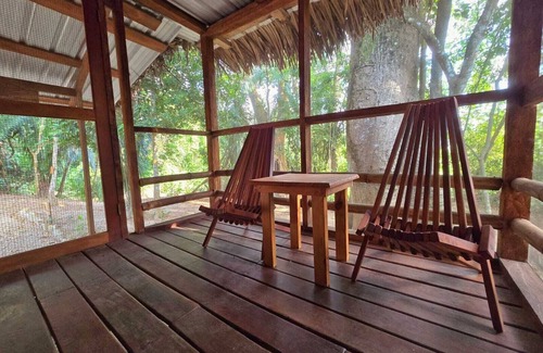 Bouvet Island Cabin | Charming cabin in delightful Hopkins with WiFi