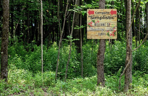 Hartwick RV Rental | Charming Campsite in Hartwick, NY few miles from Cooperstown & area attractions