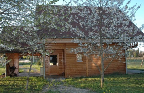 Louchy-Montfand Cottage | Charming chalet in vineyard, terrace and garden