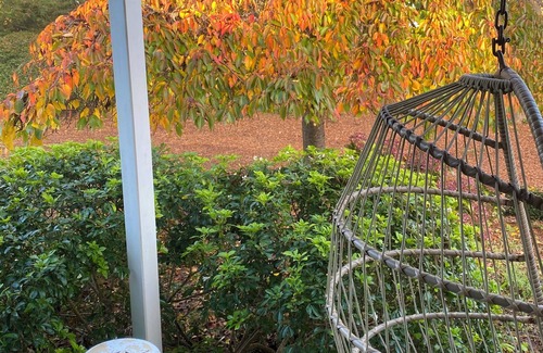 Burradoo Cottage | Charming Country Cottage