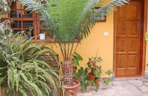 Arico el Nuevo House | Charming Country house Arico, Tenerife