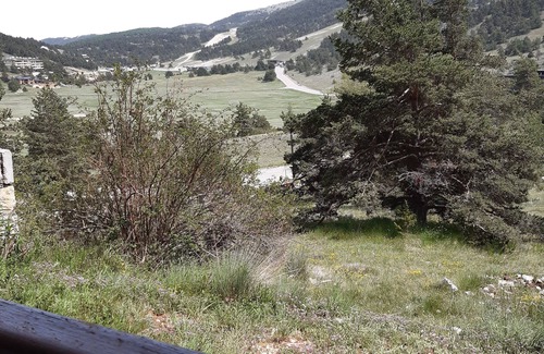 Greolieres les Neiges Apartment | charming studio with mountain view