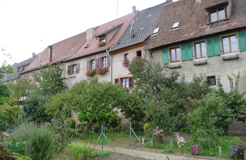 Saint-Hippolyte Apartment | Charming furnished accommodation at the foot of Haut-Koenigsbourg - Le Puits *