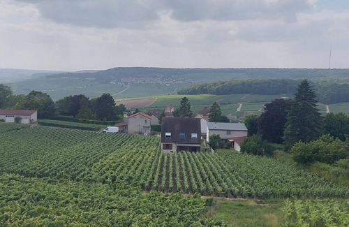 Champillon House | Charming House in the Heart of Champagne Vineyards