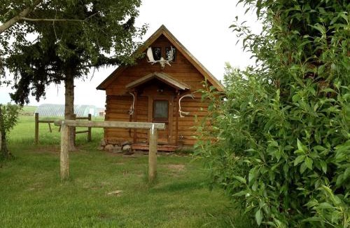 Pony House | Charming Log Cabin with Mountain Views near Trails in Pony, Montana