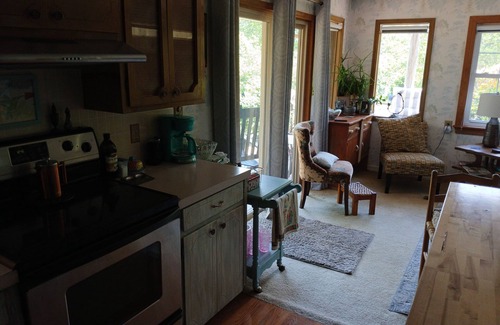 Horseshoe Bend Cottage | Charming Ozark cottage in tranquil Horseshoe Bend with lake view, AC & WiFi