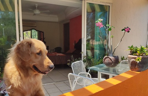 Veracruz Bed & Breakfast | Charming Private And Comfortable Room