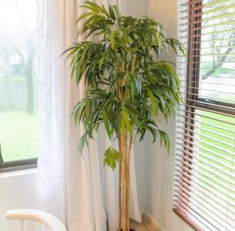 Strand Apartment | Charming Self-catering Apartment