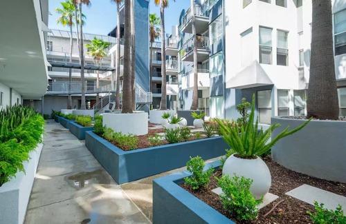 Downtown San Diego Apartment | Charming studio in SD Downtown