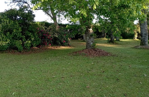 Leon Apartment | Charming T1 in large Landes house, near lake and ocean, pets welcome