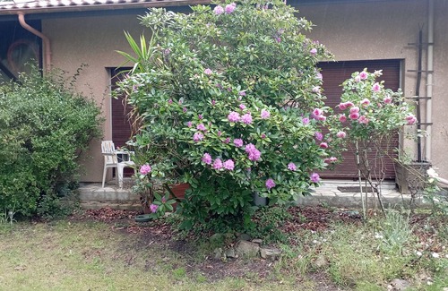 Leon Apartment | Charming T1 in large Landes house, near lake and ocean, pets welcome