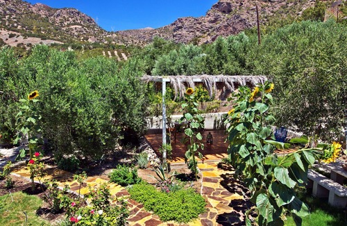 Makry Gialos Cottage | "Charoupia" 300years old cottage "Natura cottages" with sea view shared garden