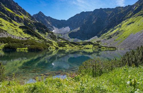 Habovka House | Chata Drevenica