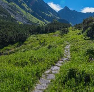 Habovka House | Chata Drevenica